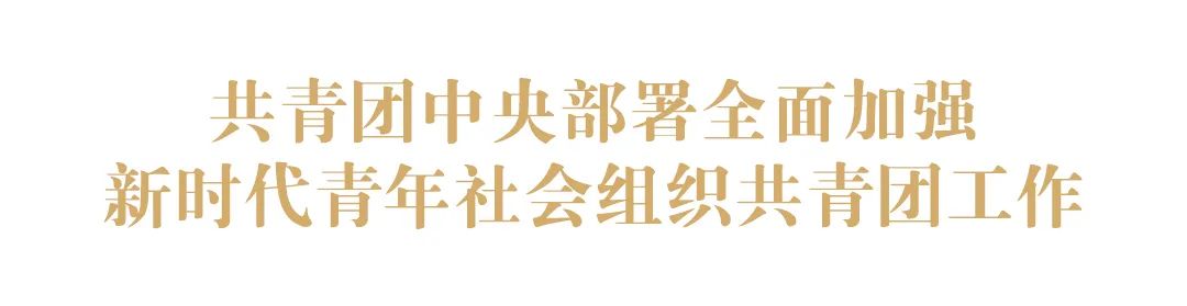 新时代青年社会组织共青团工作怎么干？要点都在这个重要文件里！