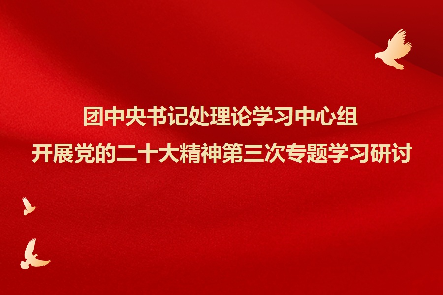 团中央书记处理论学习中心组开展党的二十大精神第三次专题学习研讨